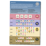 Phonics Code Progression