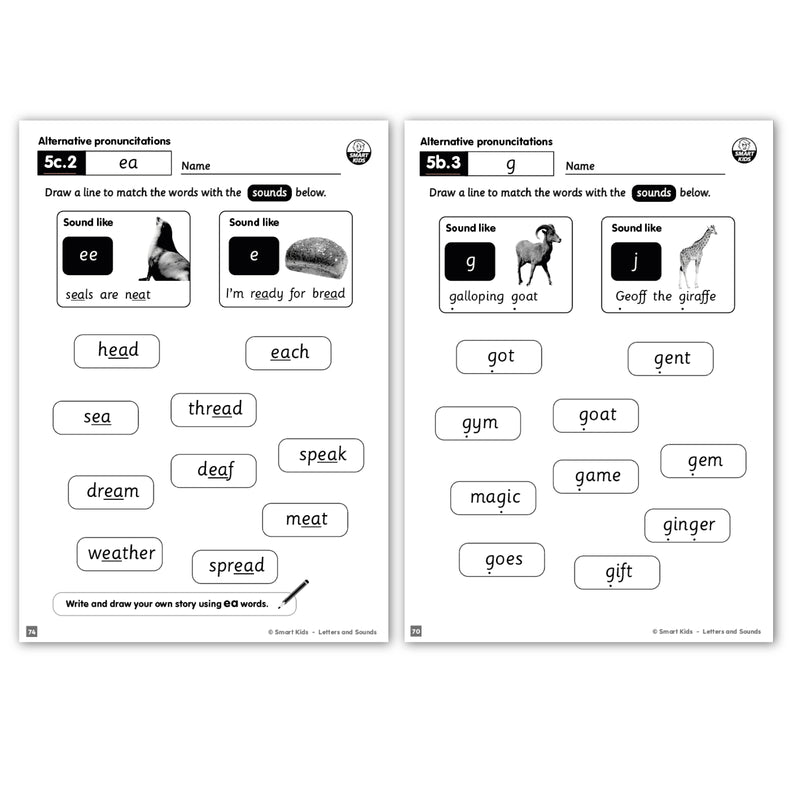 FREE - Phase 5 Daily Lesson Plans