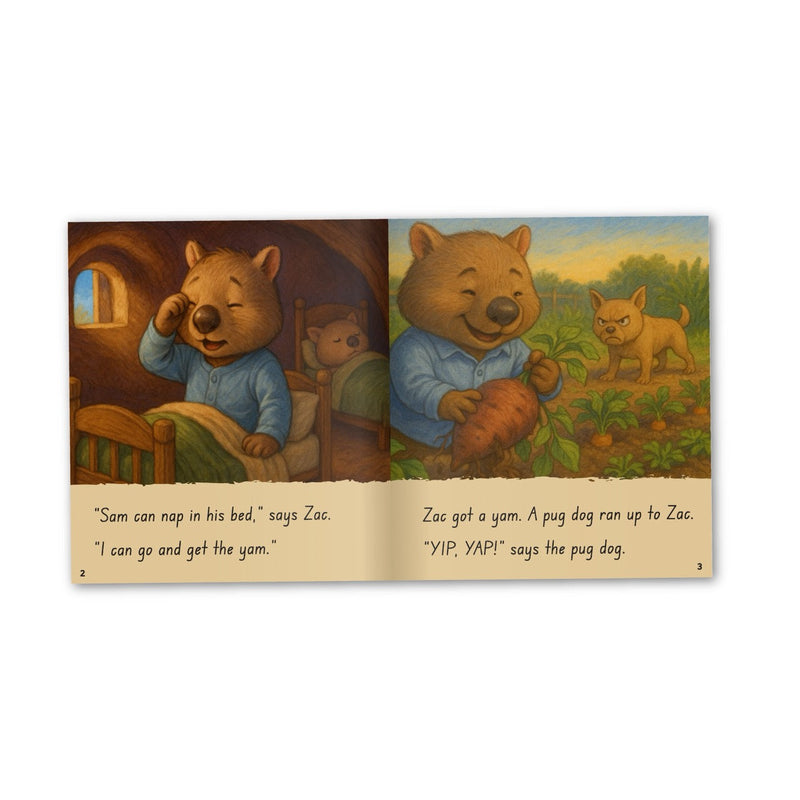 Phonics Code Book 24 /z/