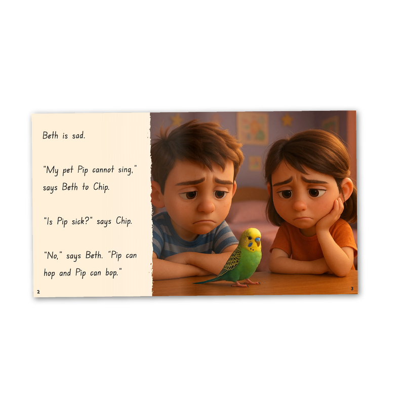 Phonics Code Book 29 /ng/