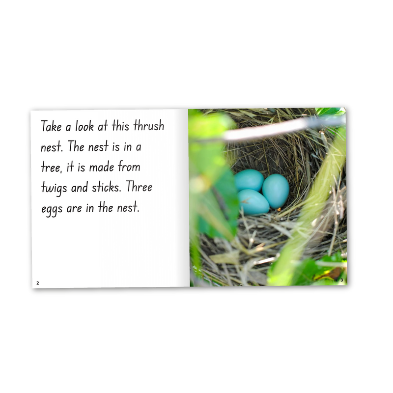 Phonics Code Book 54 suffix -s