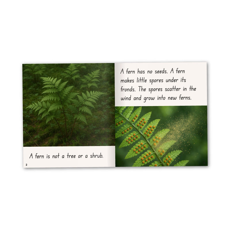 Phonics Code Book 68 - /er/