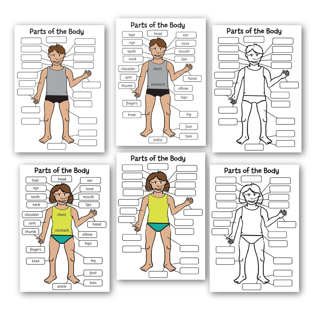 Body Parts Labels