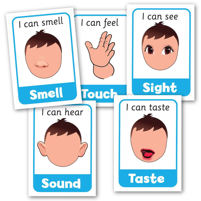 Five Senses Posters