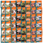 L&S Phase 2 Non-fiction  x 6 Sets