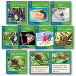 L&S Phase 4 Non-fiction Readers  x 6 Sets