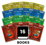 Dandelion Launchers, Units 4-7 (16 Books)